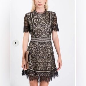 Lace Inset Dress by Hailey & Co. Black Size 1X